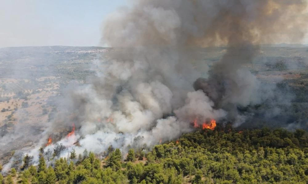 Θεολόγος: Ελεύθερος ο 14χρονος που κατηγορήθηκε για εμπρησμό